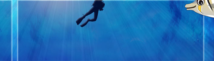 la découverte du monde sous marin à Madagascar accessible à tous