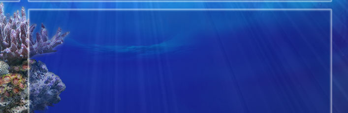 Madadive Madagascar cartes détaillées des plongées à Madagascar