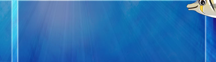 la découverte du monde sous marin à Madagascar accessible à tous